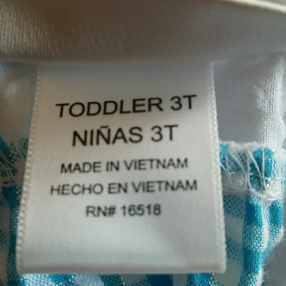 Youngland Blue and Purple Plaid Tiered Dress Size 3T